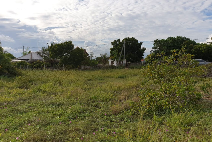 Land--sale-for-05-10541-arugam-bay