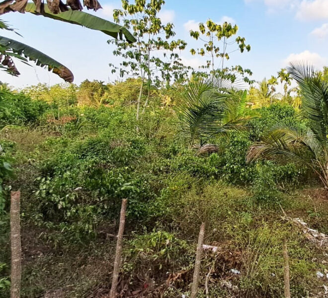 Land-for-Sale-in-Aluthgama-10555-2