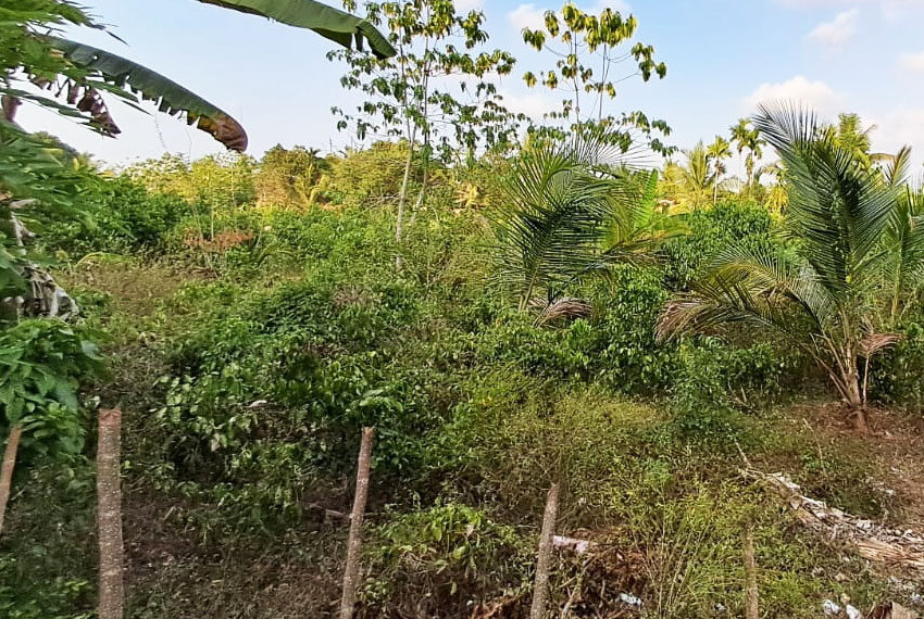 Land-for-Sale-in-Aluthgama-10555-2