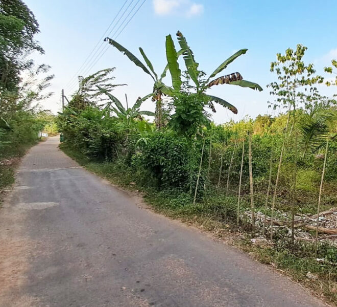 Land-for-Sale-in-Aluthgama-10555-5