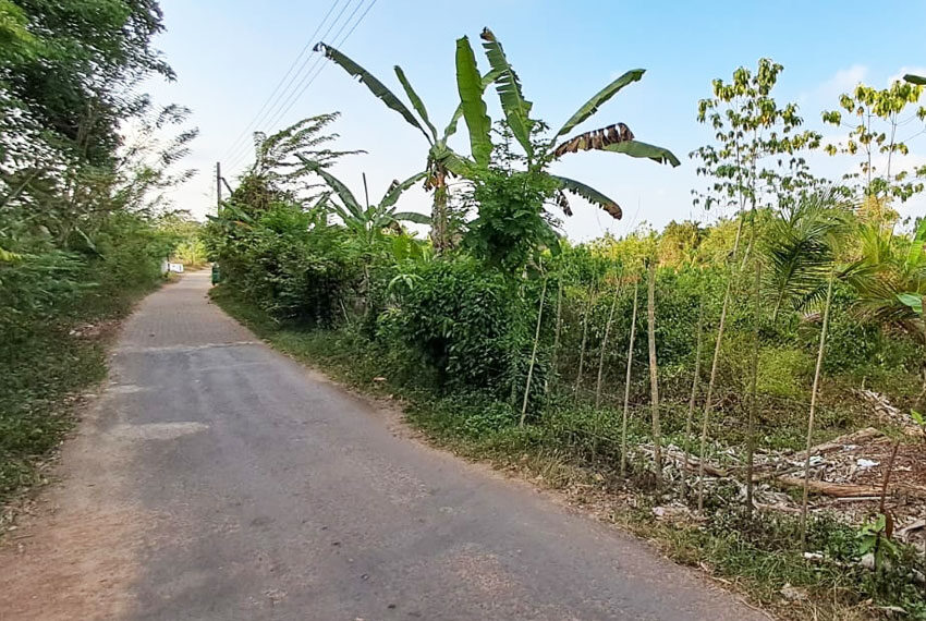 Land-for-Sale-in-Aluthgama-10555-5