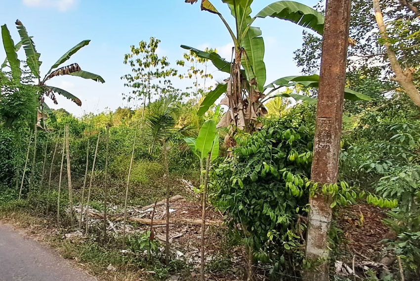 Land-for-Sale-in-Aluthgama-10555-6