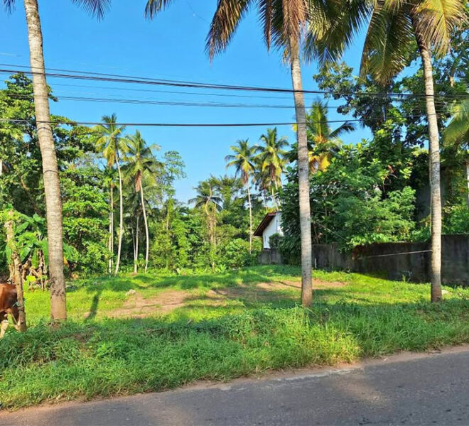Land-for-Sale-in-Ragama-10627-01