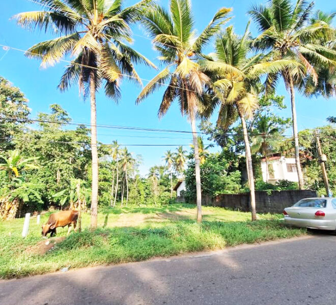 Land-for-Sale-in-Ragama-10627-04