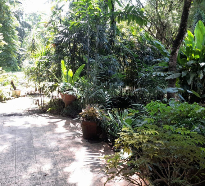Land-for-Sale-in-Avissawella-10648-01