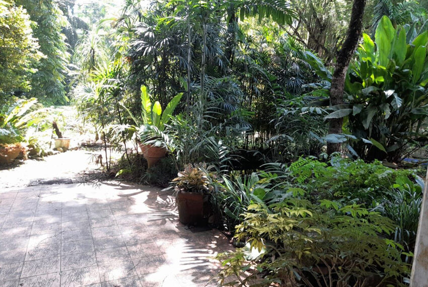 Land-for-Sale-in-Avissawella-10648-01