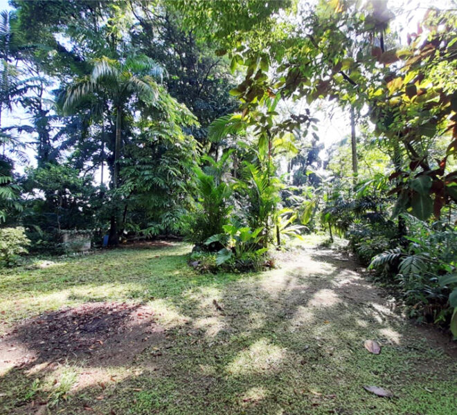 Land-for-Sale-in-Avissawella-10648-06