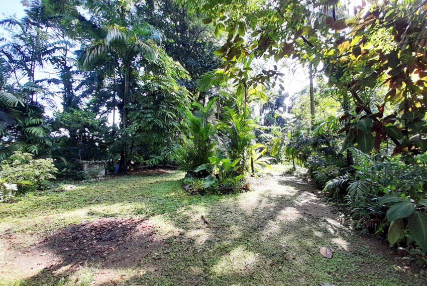 Land-for-Sale-in-Avissawella-10648-06