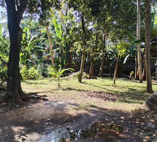Land-for-sale-in-Dehiwela-10675-02