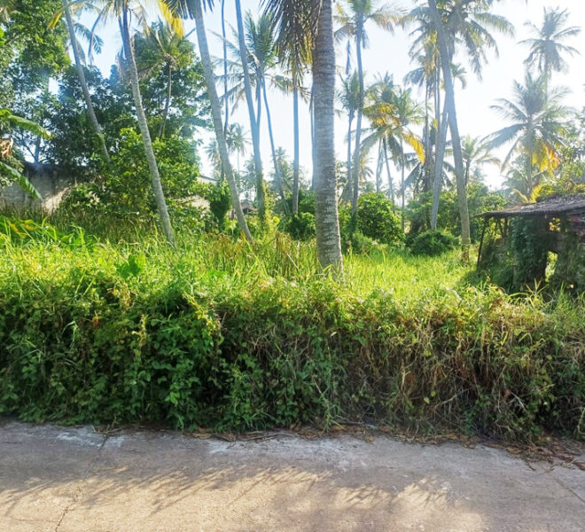 Land-for-Sale-in-Ja-Ela-10694-01