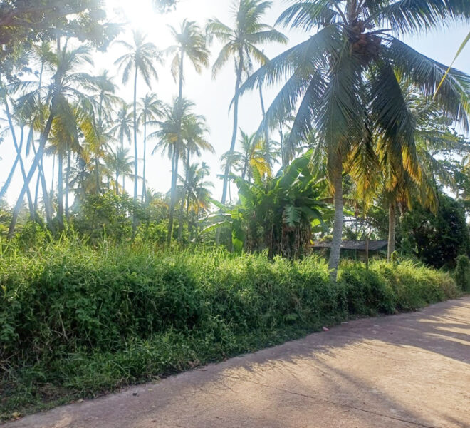 Land-for-Sale-in-Ja-Ela-10694-02