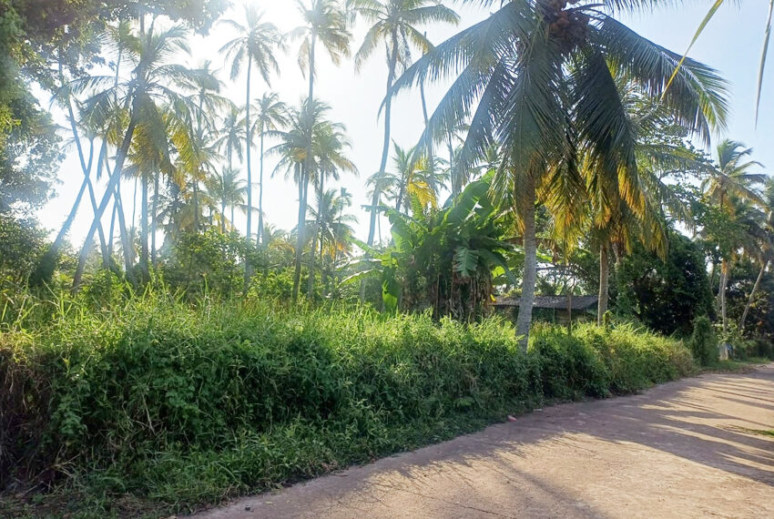 Land-for-Sale-in-Ja-Ela-10694-02