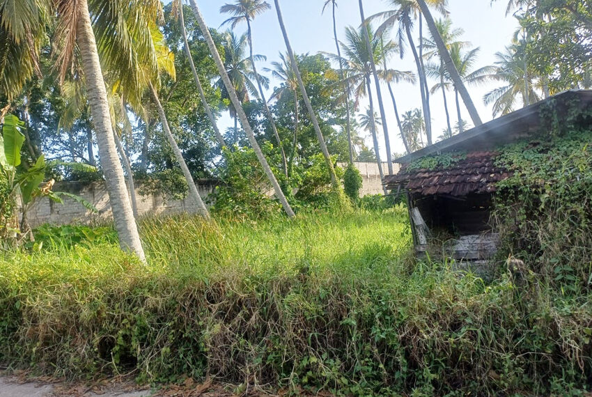 Land-for-Sale-in-Ja-Ela-10694-03