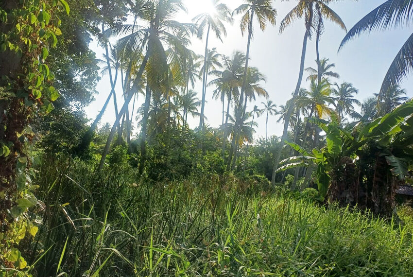 Land-for-Sale-in-Ja-Ela-10694-05