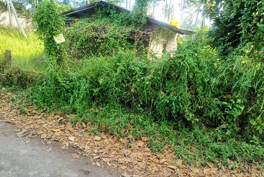 Land-for-Sale-in-Ja-Ela-10694-06