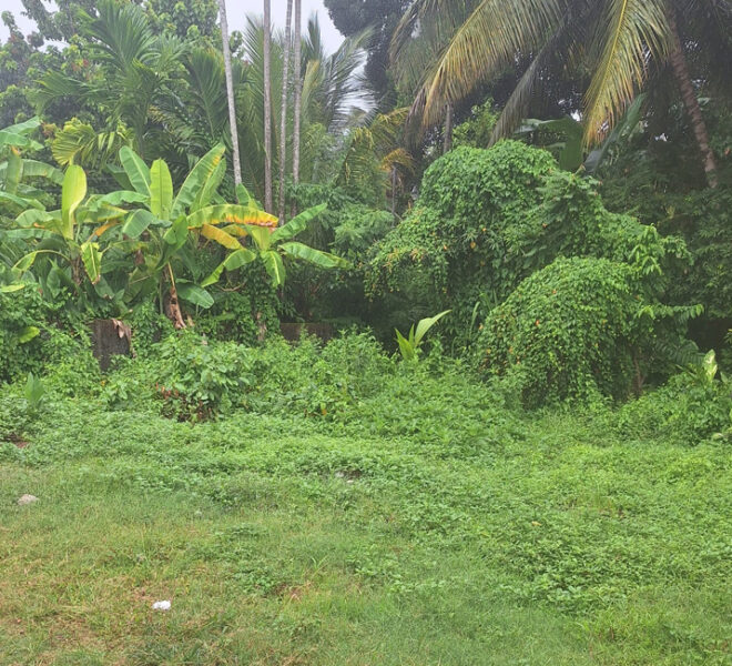 Land-for-sale-in-Wellawathe-10695--01
