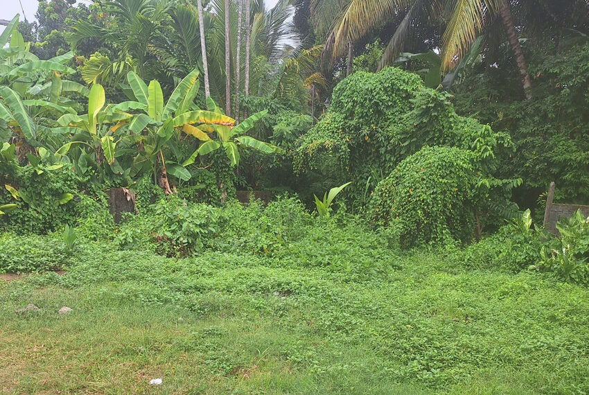 Land-for-sale-in-Wellawathe-10695--01