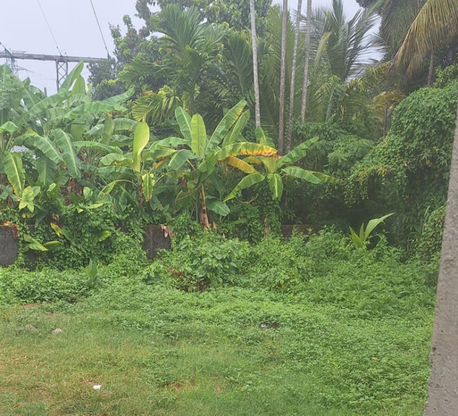 Land-for-sale-in-Wellawathe-10695--03