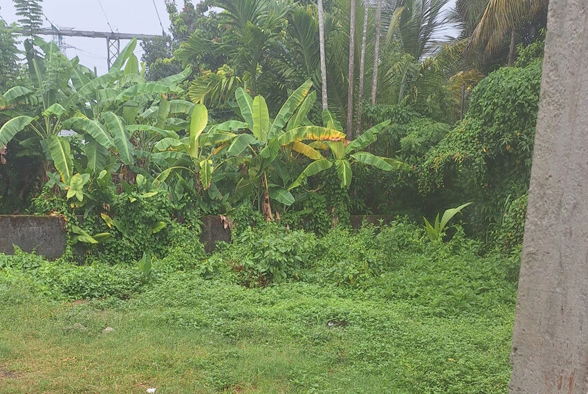 Land-for-sale-in-Wellawathe-10695--03