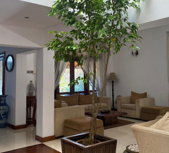 Two-story-Luxury-House-in-Kohuwala-01-10724