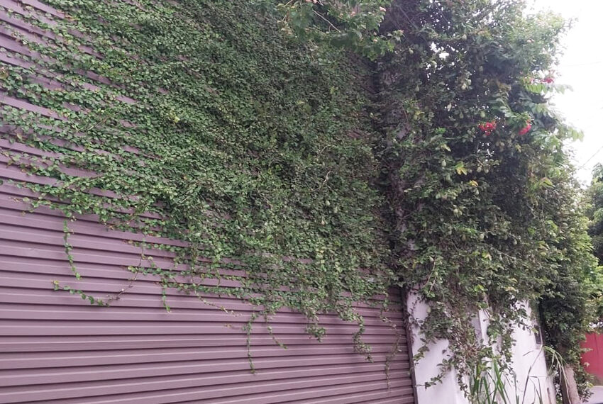 Land-for-Sale-in-Colombo-09-10754-01