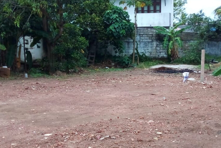 Land-for-sale-in-wattala-10771-01