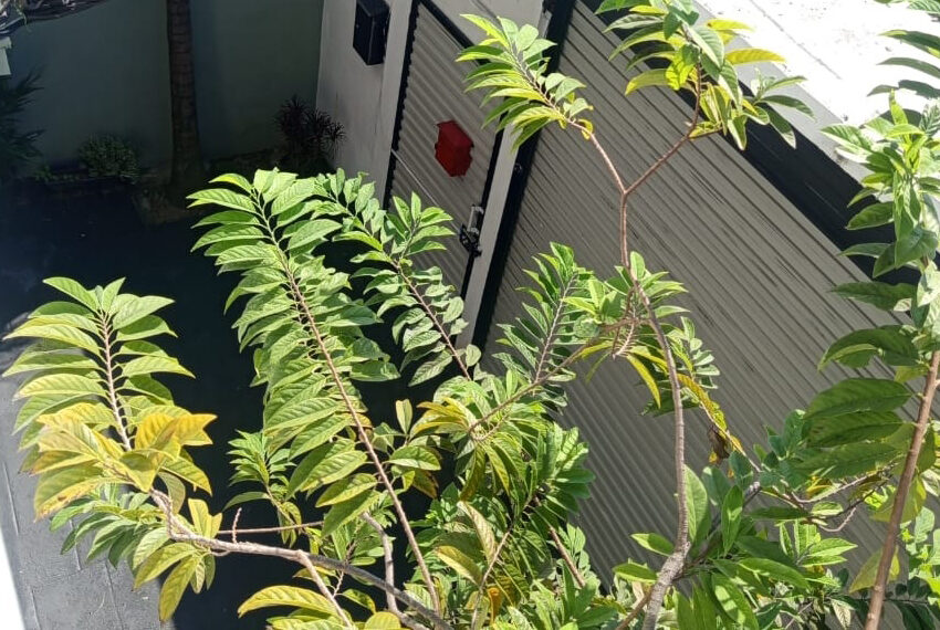 House-for-sale-in-Kolonnawa-10806-08