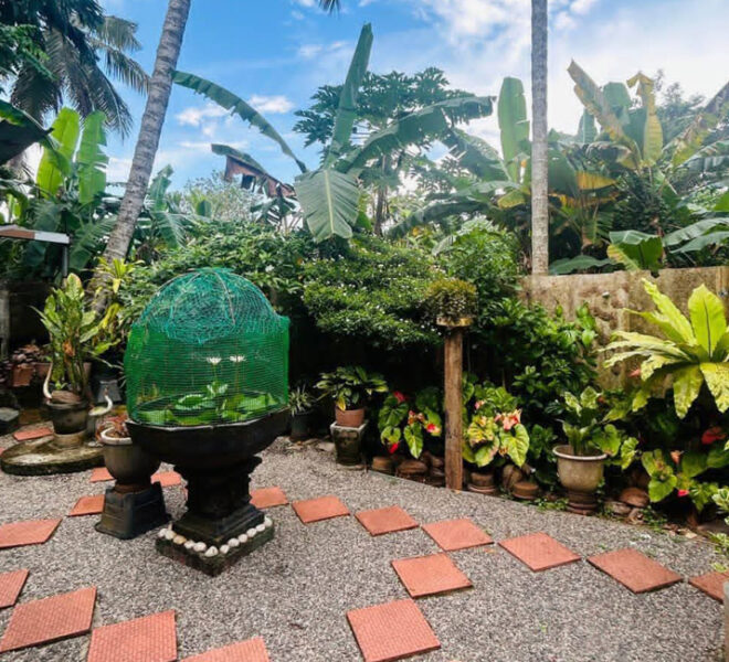 Brand-New-spacious-House-for-Sale-in-Dehiwala-10826-04