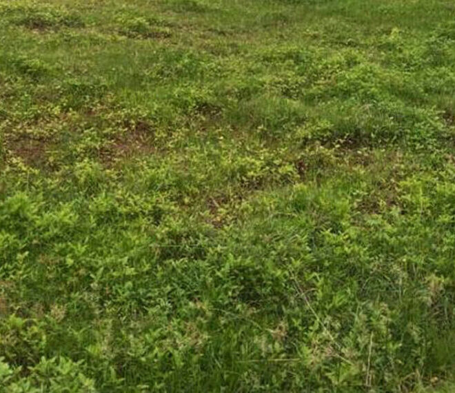 Land-for-Sale-in-Colombo-03-10643-01