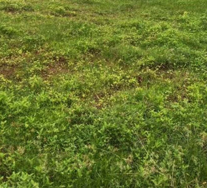 Land-for-Sale-in-Kolonnawa-10870-01