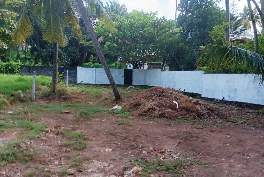 Land-for-Sale-in-Dehiwala-10916-02