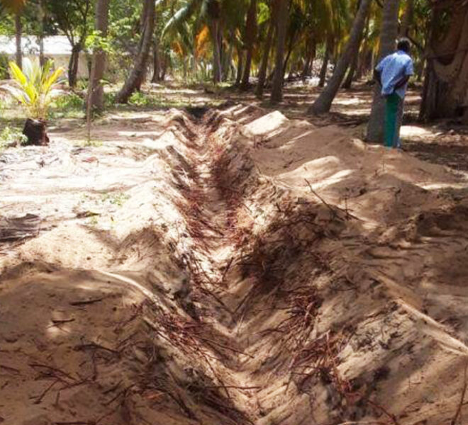Coconut-Land-for-Sale-in-Alankuda-10958-02