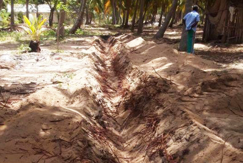 Coconut-Land-for-Sale-in-Alankuda-10958-02