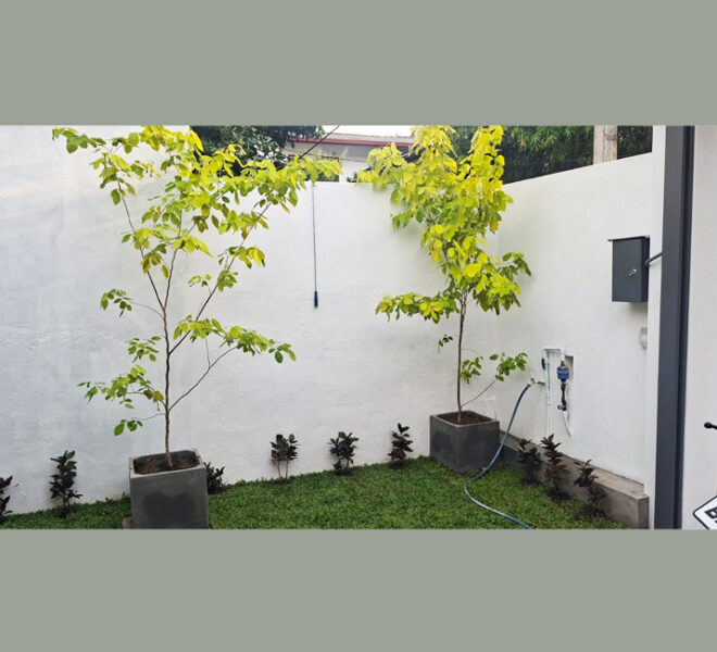 House-for-Sale-in-Piliyandala-10955-02