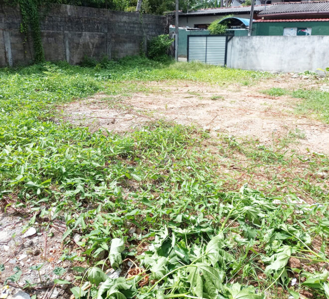 Land-for-Sale-in-Ratmalana-10938-02