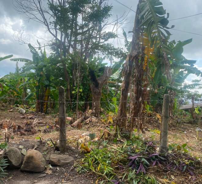 Land-for-sale-in-Thalawathugoda-10970-01