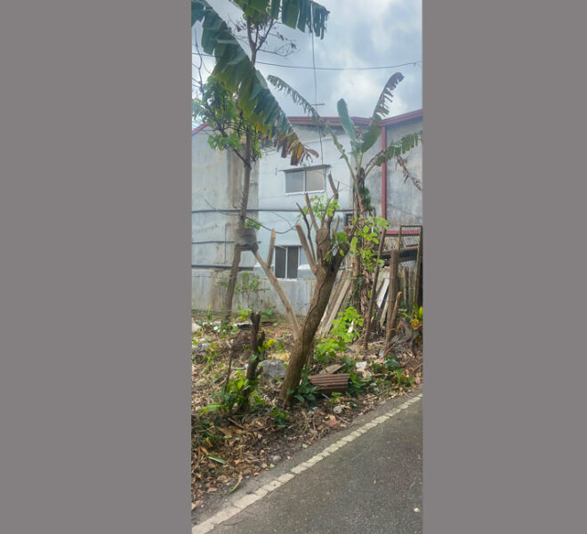 Land-for-sale-in-Thalawathugoda-10970-02