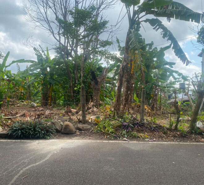 Land-for-sale-in-Thalawathugoda-10970-03