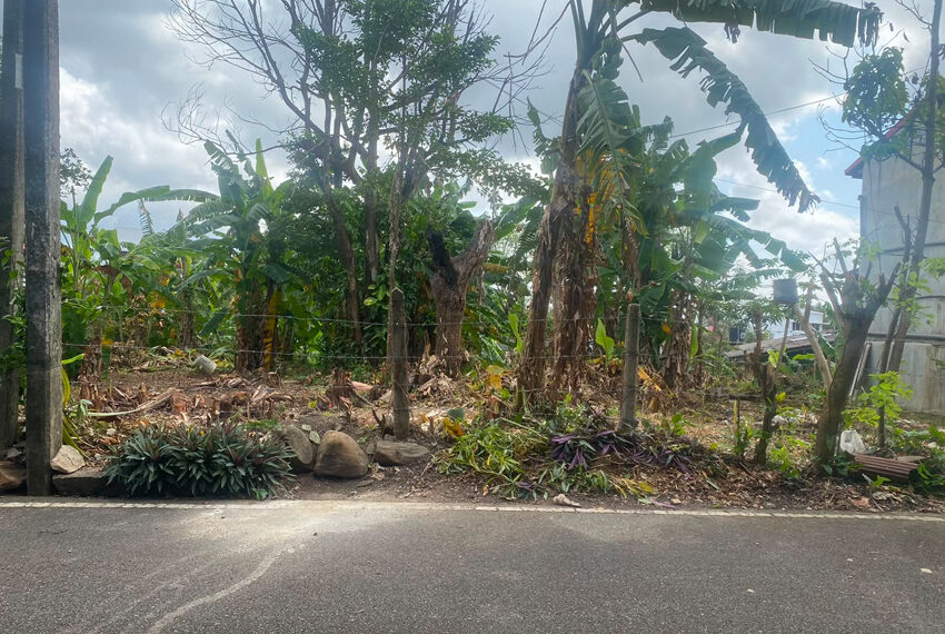 Land-for-sale-in-Thalawathugoda-10970-03
