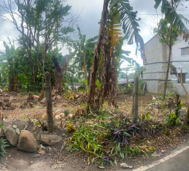 Land-for-sale-in-Thalawathugoda-10970-04