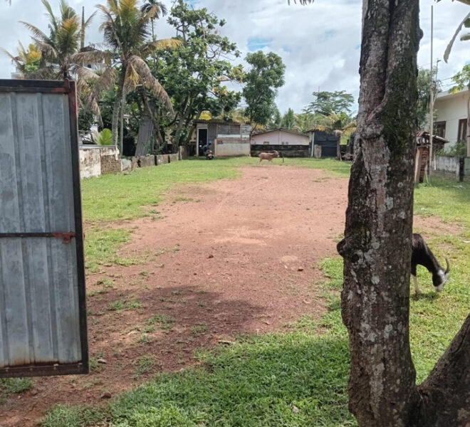 Land-for-sale-in-Dehiwela-10987-01