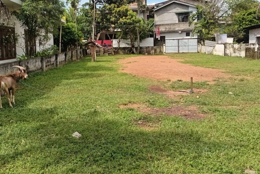 Land-for-sale-in-Dehiwela-10987-02