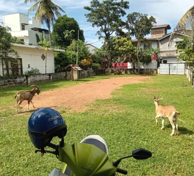 Land-for-sale-in-Dehiwela-10987-05