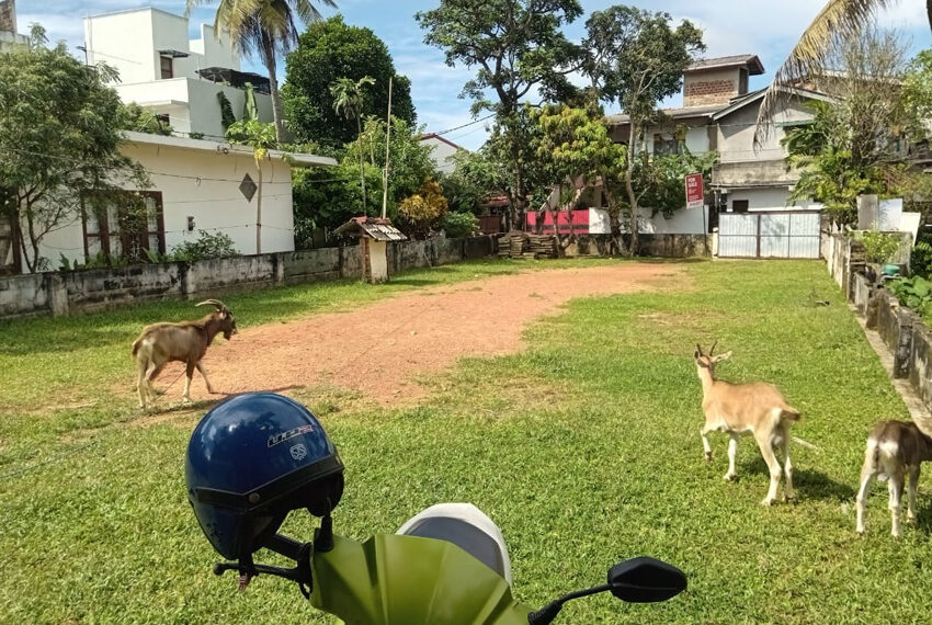 Land-for-sale-in-Dehiwela-10987-05
